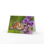 Monarch Butterfly on Liatris Note Card