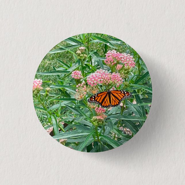 Monarch Butterfly on Milkweed   Button (Front)