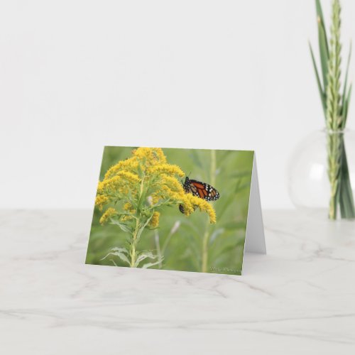 Monarch Butterfly on Milkweed in a Feild  Holiday Card