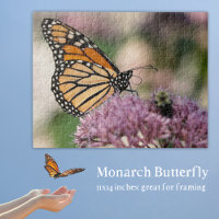 Monarch Butterfly on Native Wildflower Nature