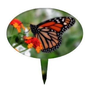 Monarch Butterfly on Orange and Red Lantana Cake Topper
