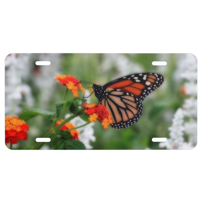 Monarch Butterfly on Orange and Red Lantana License Plate (Front)