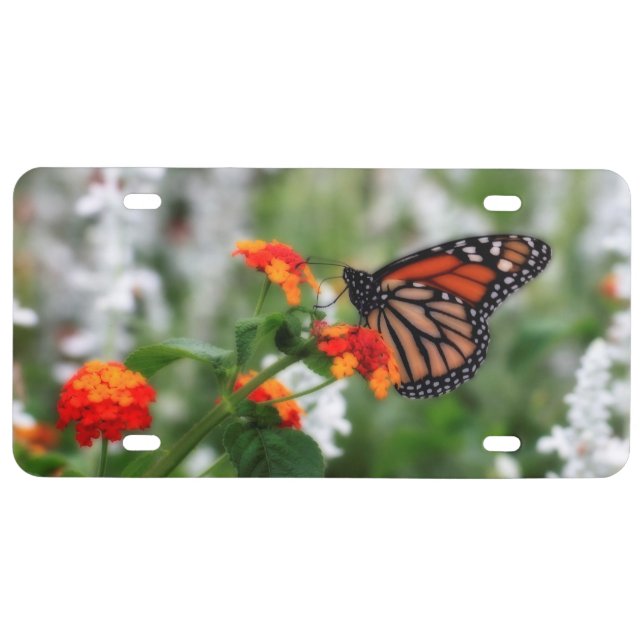 Monarch Butterfly on Orange and Red Lantana License Plate (Front)