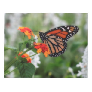 Monarch Butterfly on Orange and Red Lantana Notepad