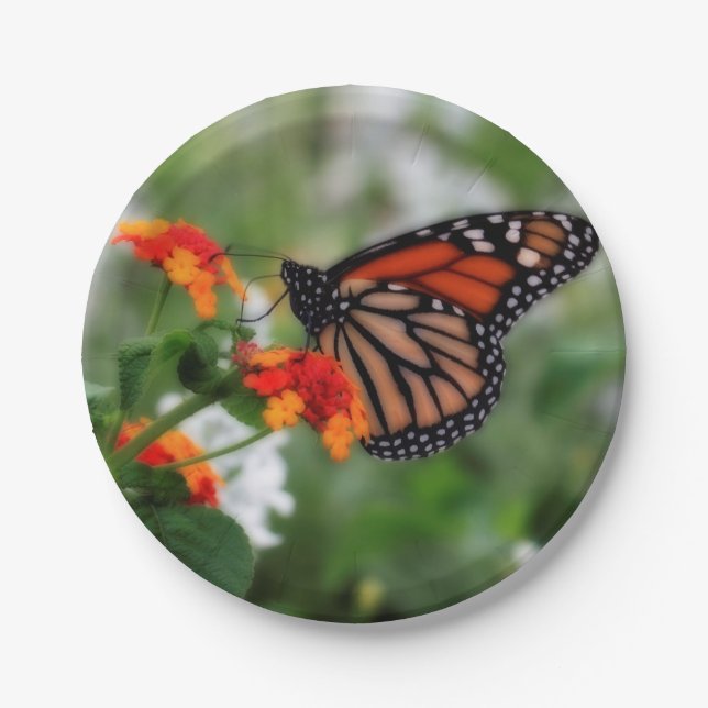 Monarch Butterfly on Orange and Red Lantana Paper Plates (Front)