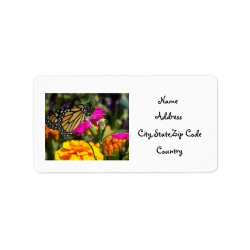 Monarch Butterfly on pink marigold_address label