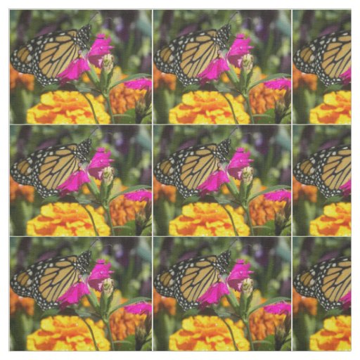 Monarch Butterfly on pink marigold Fabric