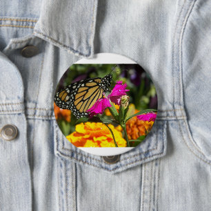 Monarch Butterfly on Pink Marigold Flower Button