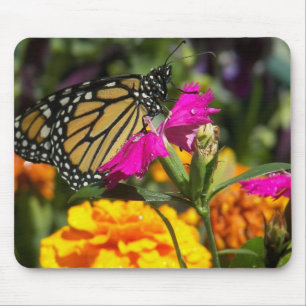 Monarch butterfly on pink marigold-mousepad mouse pad