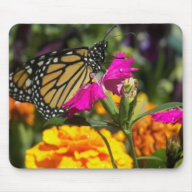 Monarch butterfly on pink marigold-mousepad mouse pad (Front)