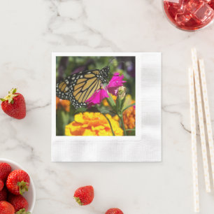Monarch Butterfly on Pink Marigold Napkins