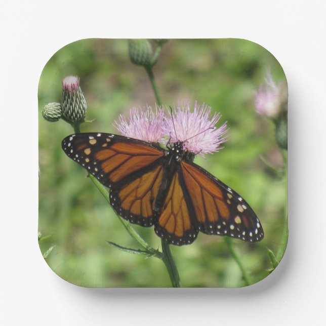 Monarch Butterfly on Pink Thistle Paper Plates (Front)