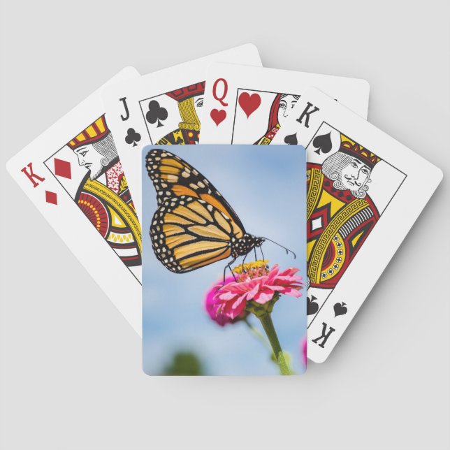 Monarch butterfly on Playing cards (Back)