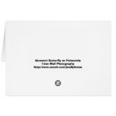 Monarch Butterfly on Poinsettia Cards (Back Horizontal)