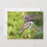 Monarch Butterfly on Purple Butterfly Bush