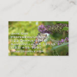 Monarch Butterfly on Purple Butterfly Bush Business Card