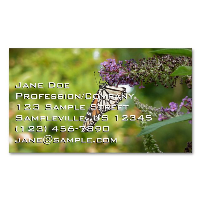 Monarch Butterfly on Purple Butterfly Bush Business Card Magnet (Front)