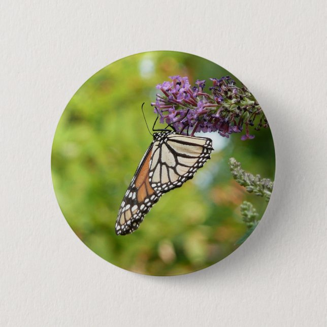 Monarch Butterfly on Purple Butterfly Bush Button (Front)