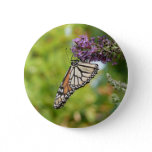 Monarch Butterfly on Purple Butterfly Bush Button