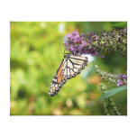 Monarch Butterfly on Purple Butterfly Bush Canvas Print