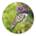 Monarch Butterfly on Purple Butterfly Bush Ceramic Knob