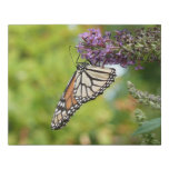 Monarch Butterfly on Purple Butterfly Bush Faux Canvas Print