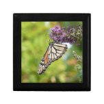 Monarch Butterfly on Purple Butterfly Bush Gift Box