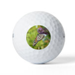 Monarch Butterfly on Purple Butterfly Bush Golf Balls