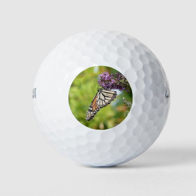 Monarch Butterfly on Purple Butterfly Bush Golf Balls (Front)