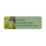 Monarch Butterfly on Purple Butterfly Bush Label
