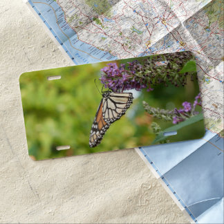 Monarch Butterfly on Purple Butterfly Bush License Plate