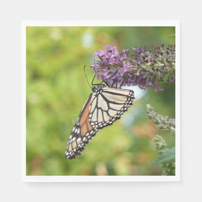 Monarch Butterfly on Purple Butterfly Bush Napkins (Front)