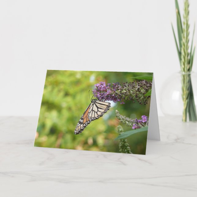 Monarch Butterfly on Purple Butterfly Bush Note Card (Front)