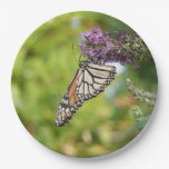 Monarch Butterfly on Purple Butterfly Bush Paper Plates