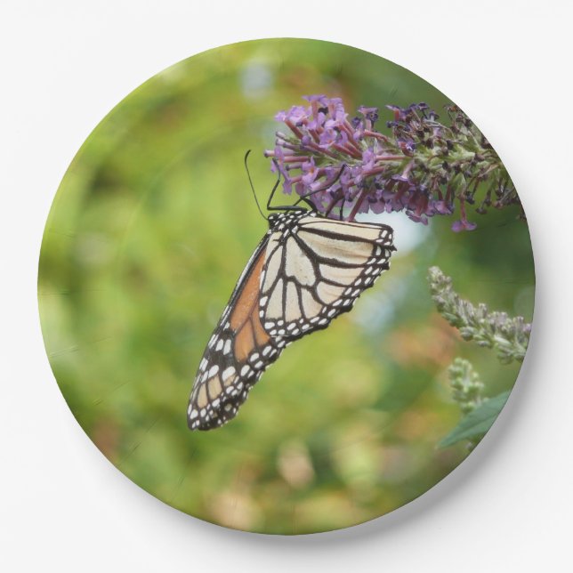 Monarch Butterfly on Purple Butterfly Bush Paper Plates (Front)