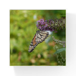 Monarch Butterfly on Purple Butterfly Bush Paperweight
