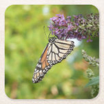 Monarch Butterfly on Purple Butterfly Bush Square Paper Coaster