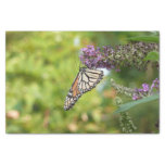 Monarch Butterfly on Purple Butterfly Bush Tissue Paper
