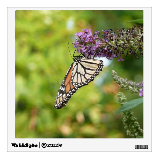 Monarch Butterfly on Purple Butterfly Bush Wall Sticker (Front)