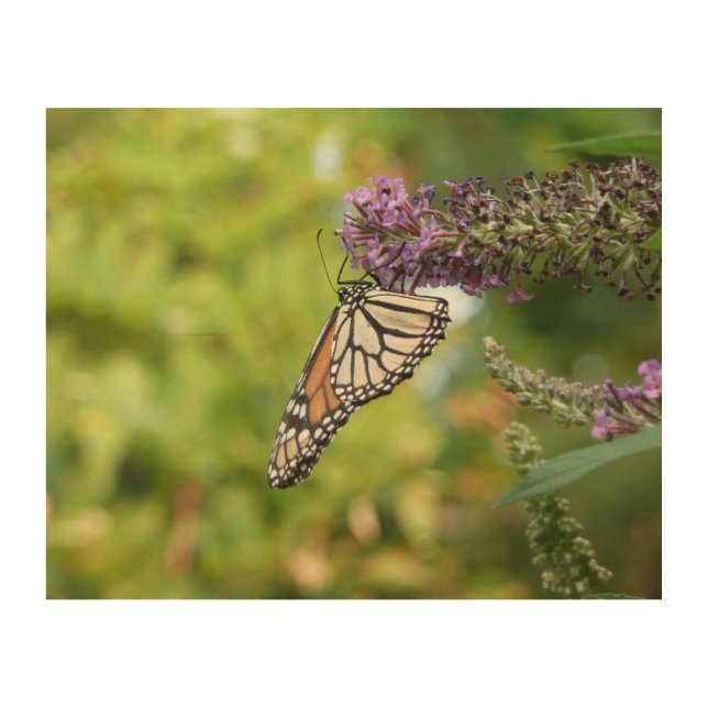 Monarch Butterfly on Purple Butterfly Bush Wood Wall Decor (Front)