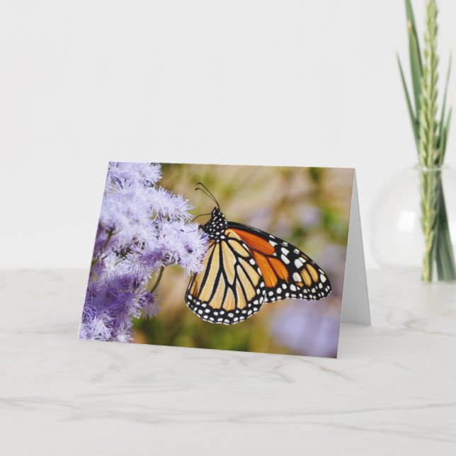 Monarch Butterfly on Purple Flowers Note Card (Front)