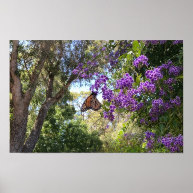 Monarch Butterfly on Purple Flowers Poster (Front)