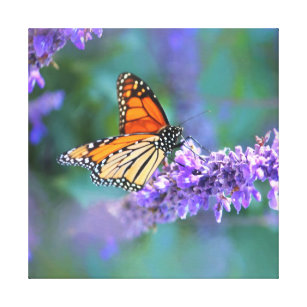 Monarch Butterfly on Purple lilac Flower Canvas Print
