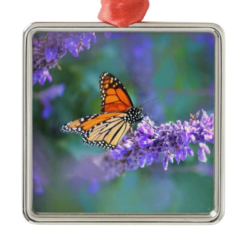 Monarch Butterfly on Purple lilac Flower Metal Ornament