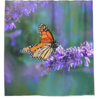 Monarch Butterfly on Purple lilac Flower