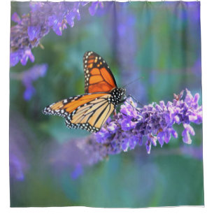Monarch Butterfly on Purple lilac Flower Shower Curtain