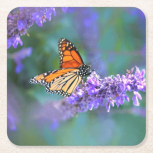 Monarch Butterfly on Purple lilac Flower Square Paper Coaster