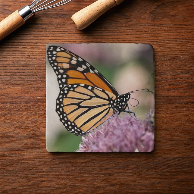 Monarch Butterfly on Purple Pink Wildflower Trivet (Monarch Butterfly on pretty pink native wildflower. Mom will love this for her rustic kitchen.)