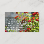 Monarch Butterfly on Red Butterfly Bush Business Card