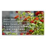 Monarch Butterfly on Red Butterfly Bush Business Card Magnet